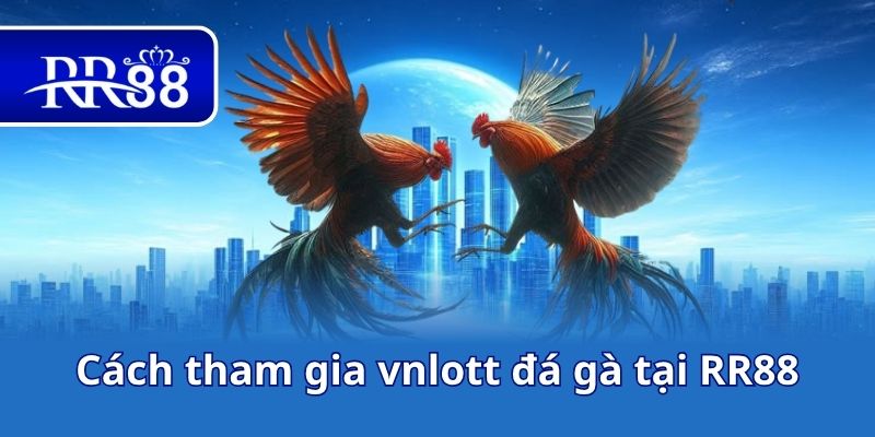 Cách tham gia vnlott đá gà tại RR88