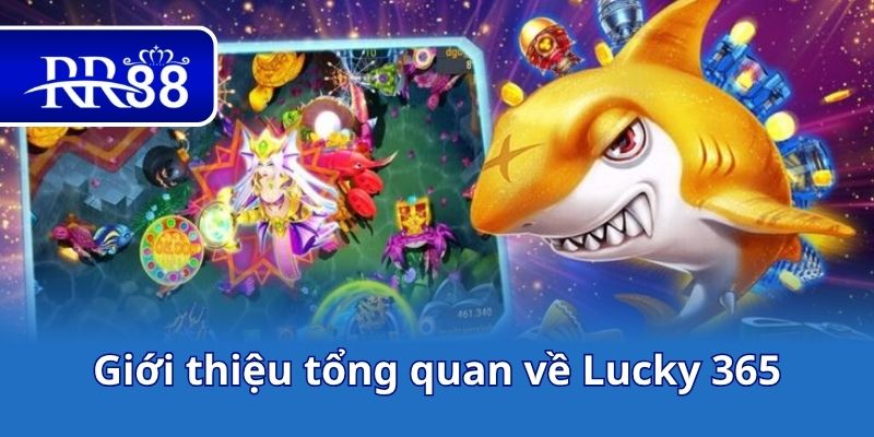 Giới thiệu tổng quan về Lucky 365