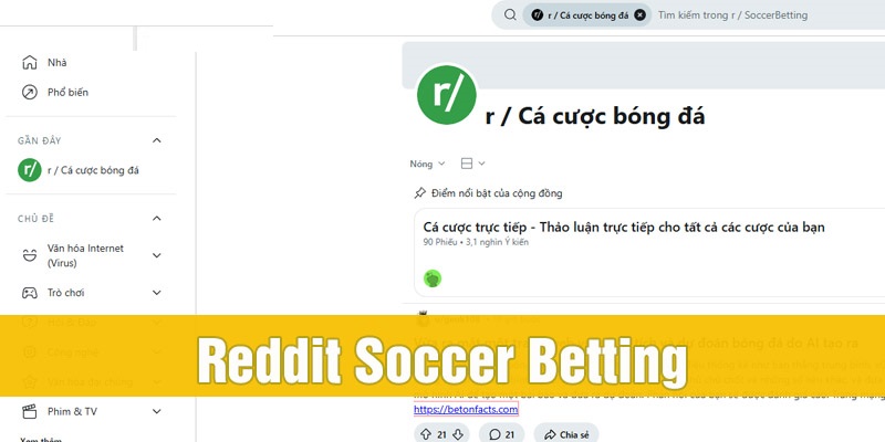 Forum cá độ Reddit Soccer Betting